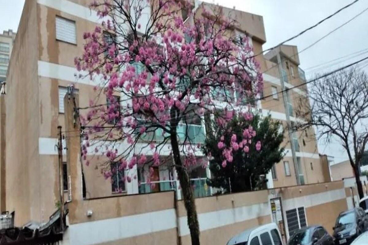Apartamento com 4 quartos, foto 1