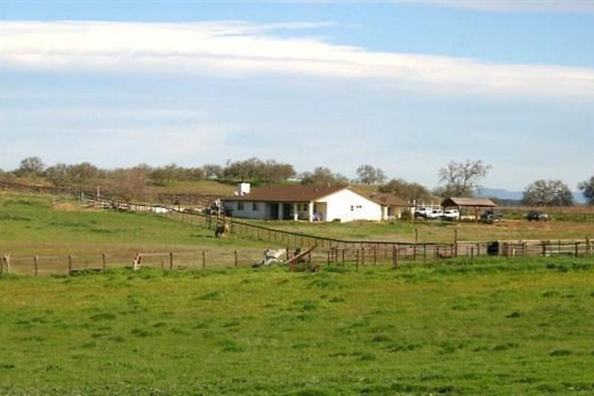 Casa com 5 quartos, foto 1
