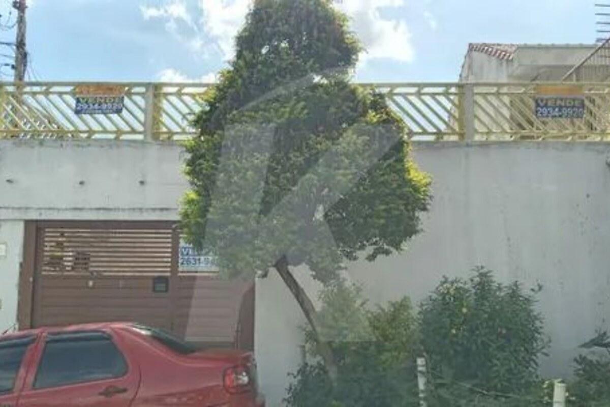 Apartamento com 3 quartos, foto 1