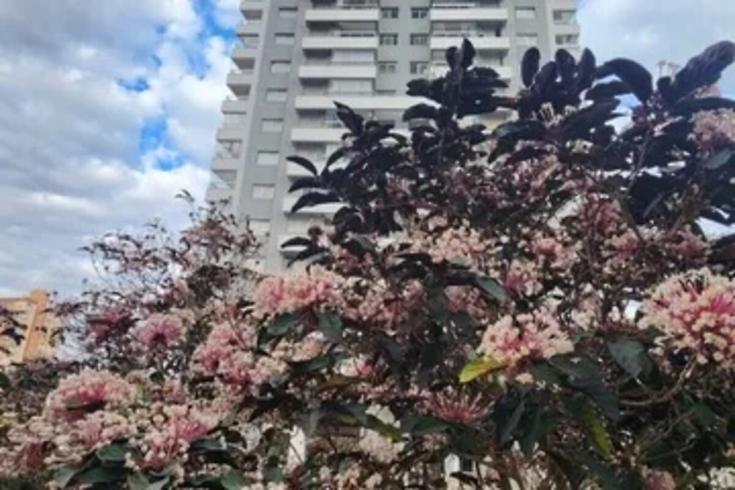 Apartamento com 1 quarto, foto 9