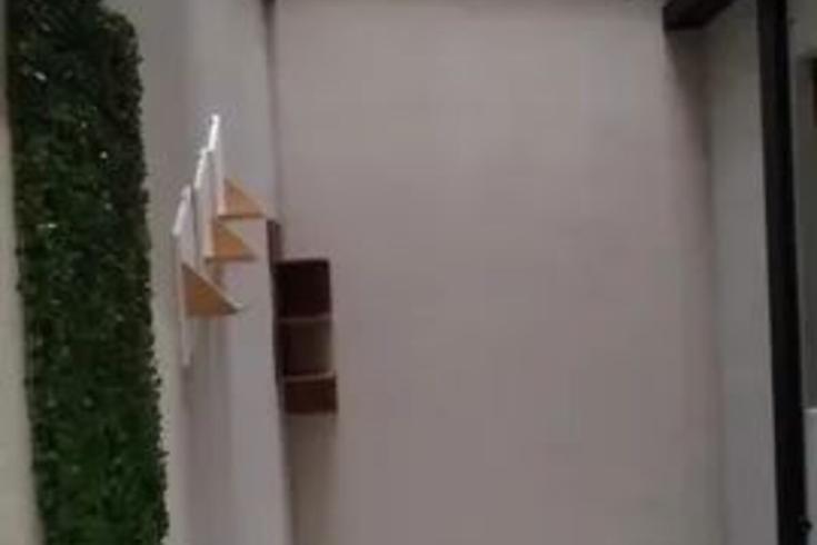 Apartamento com 2 quartos, foto 10