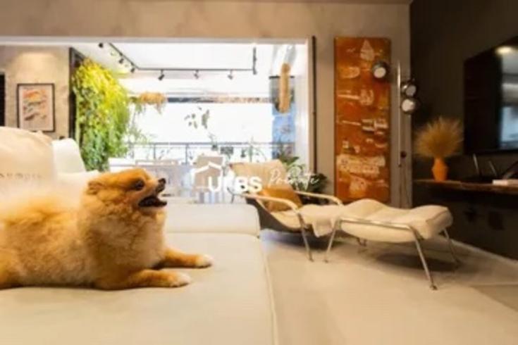 Casa com 2 quartos, foto 7